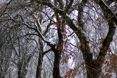 Click here to view at full resolution.