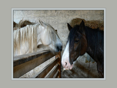 Click here to view at full resolution.