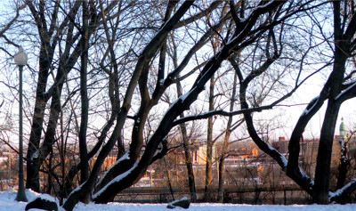 Click here to view at full resolution.