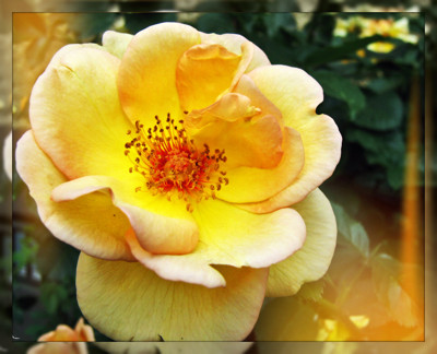 Click here to view at full resolution.