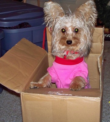 Click here to view at full resolution.