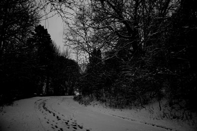 Click here to view at full resolution.