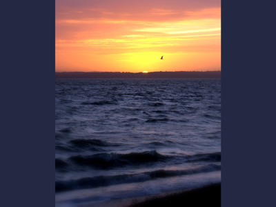 Click here to view at full resolution.