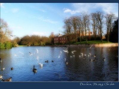 Click here to view at full resolution.