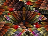 Feather Creature by bfrank, abstract gallery