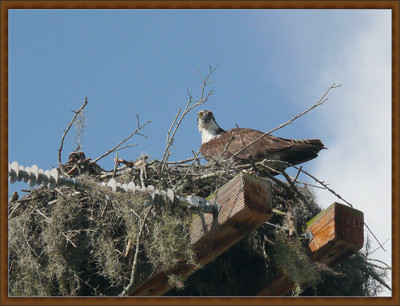 Click here to view at full resolution.