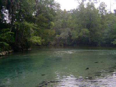 Click here to view at full resolution.