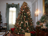 Christmas Tree Inside Gov. Mansion by connodado, Holidays gallery