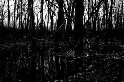 Click here to view at full resolution.