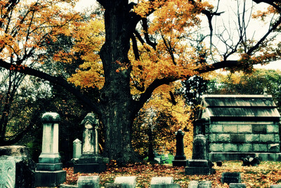 Click here to view at full resolution.