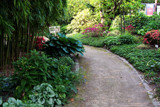 A Pleasant Walk by Ramad, photography->gardens gallery