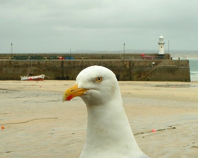 Click here to view at full resolution.