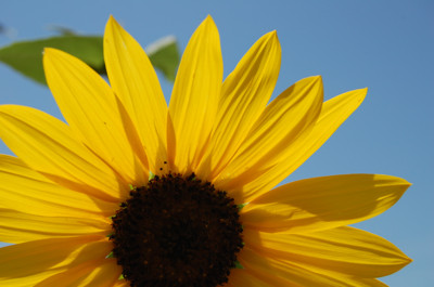 Click here to view at full resolution.