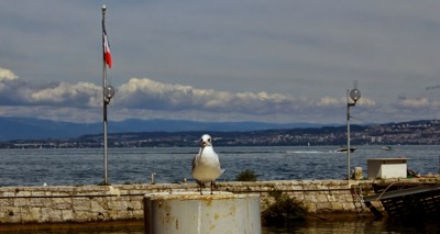 Click here to view at full resolution.