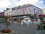 French Quarter Horse (and Buggy) by mrosin, photography->city gallery