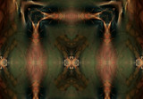 Grand Concept by Flmngseabass, abstract->fractal gallery