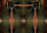 Grand Concept by Flmngseabass, abstract->fractal gallery