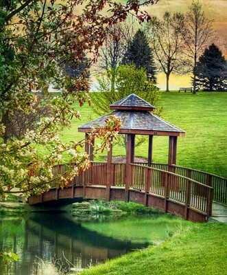 Click here to view at full resolution.