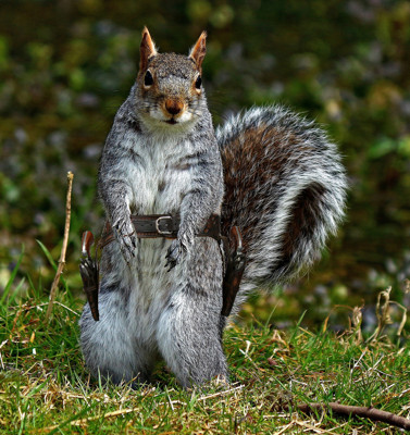 Click here to view at full resolution.