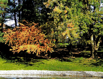 Click here to view at full resolution.