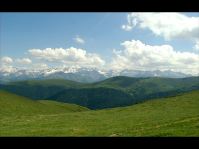 Click here to view at full resolution.