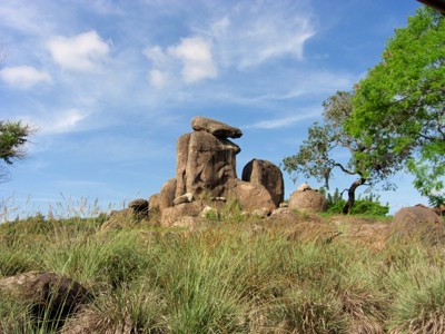 Click here to view at full resolution.