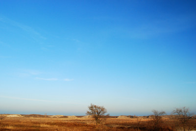 Click here to view at full resolution.