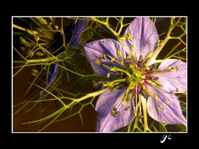 Click here to view at full resolution.