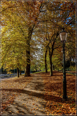 Click here to view at full resolution.