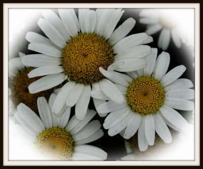 Click here to view at full resolution.