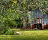 The Old Pumphouse by PatAndre, photography->landscape gallery