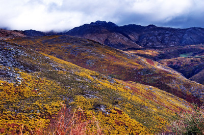 Click here to view at full resolution.
