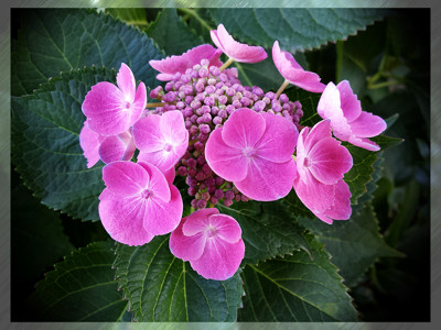 Click here to view at full resolution.