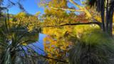Autumn In The Park #3 by LynEve, photography->landscape gallery