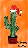 Merry Cactus by bfrank, holidays->christmas gallery