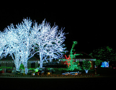 Click here to view at full resolution.