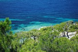 Blue, turquoise and pines by elektronist, Photography->Shorelines gallery