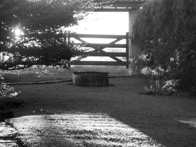 Click here to view at full resolution.