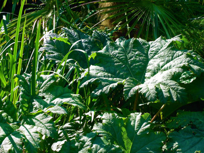 Click here to view at full resolution.