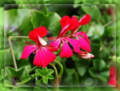 Click here to view at full resolution.