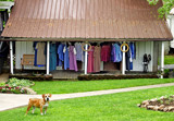 Amish Clothes For Sale? by PatAndre, photography->general gallery