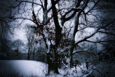 Click here to view at full resolution.