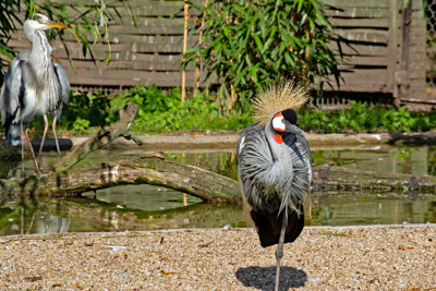 Click here to view at full resolution.