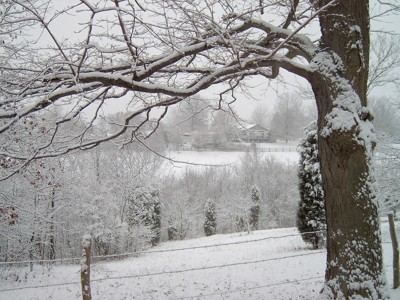 Click here to view at full resolution.