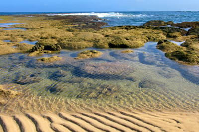 Click here to view at full resolution.