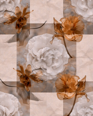 Click here to view at full resolution.