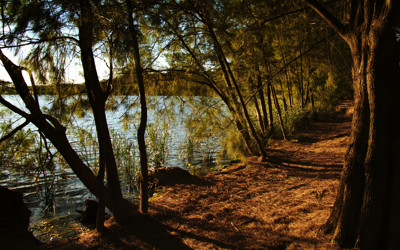 Click here to view at full resolution.