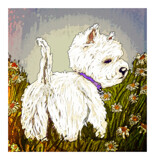 Westie by bfrank, illustrations gallery