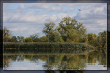 Mud Reflections by Jimbobedsel, Photography->Manipulation gallery