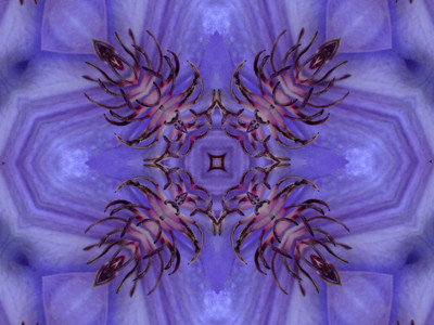 Click here to view at full resolution.